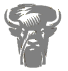 Sinistro